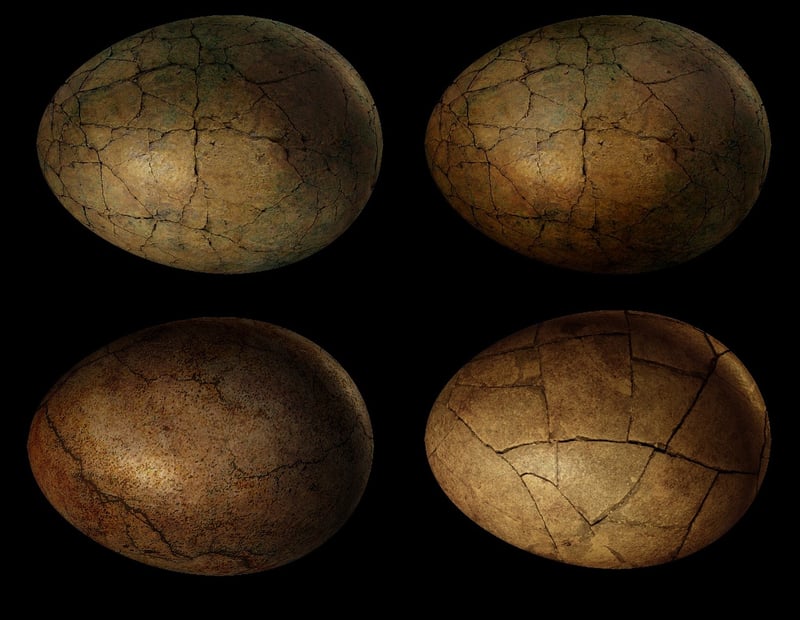 Dragon nests