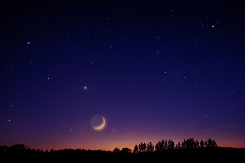 Moonlit Garden