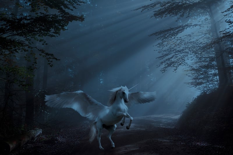 Unicorn Pastures